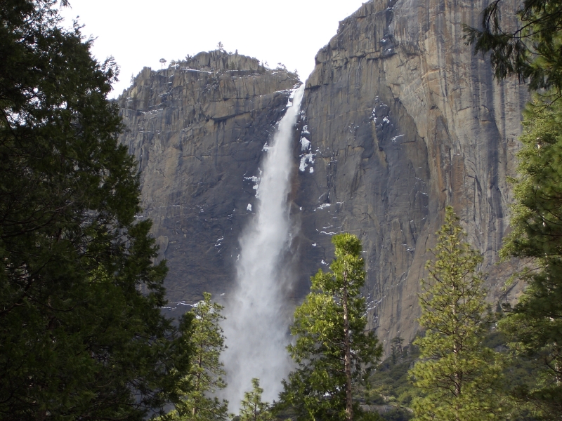 Upper Yosemite again