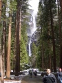 Upper and Lower Yosemite 