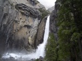 Lower Yosemite